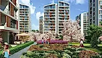 Resim İstanbul Orman